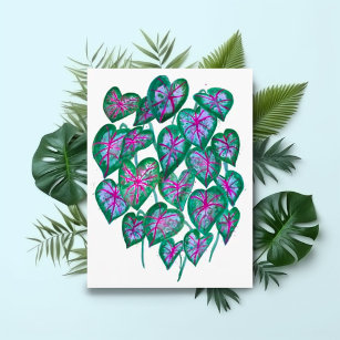 Cartão Postal Caládios Rosa e Verde Deixam Aquarela Arte