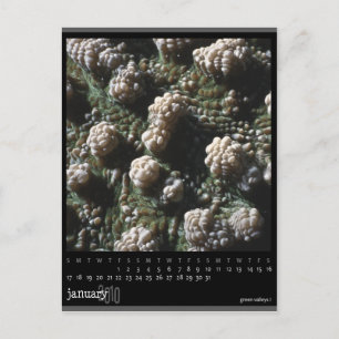 Cartão Postal calendário de janeiro de 2010