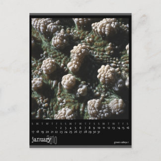 Cartão Postal calendário de janeiro de 2010