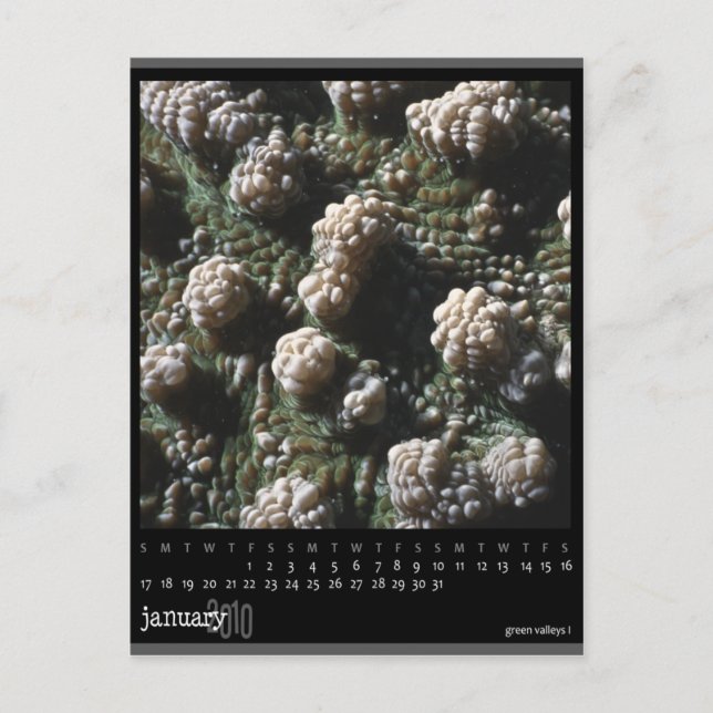 Cartão Postal calendário de janeiro de 2010 (Frente)