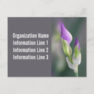 Cartão Postal Calendário de Postais Personalizados da Empresa 20