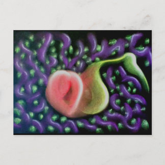 Cartão Postal Calendário do Cartão-postal da Alma 37