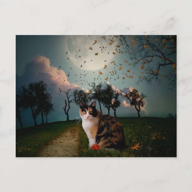 Cartão Postal Cali Moon (Frente)