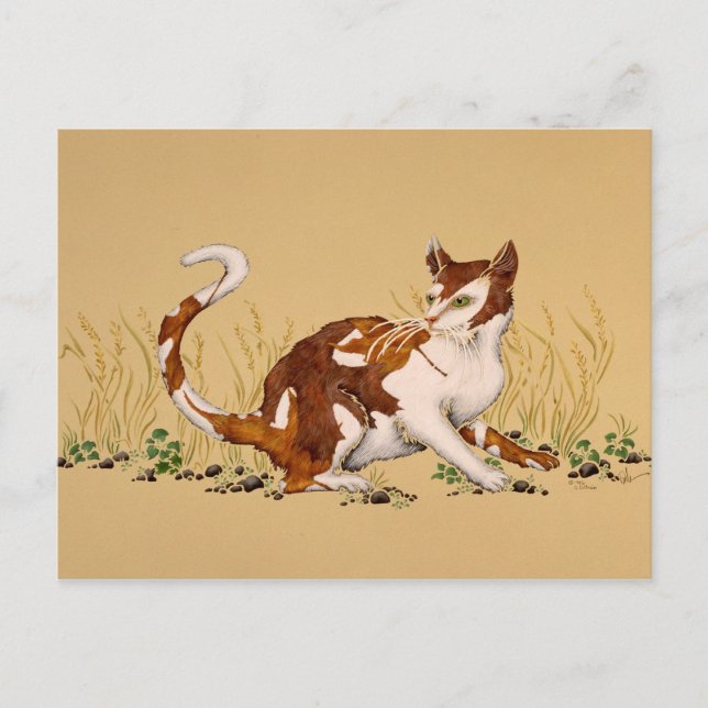 Cartão Postal Calico Autum (Frente)
