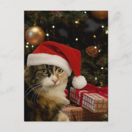 Cartão Postal Calico Santa Kitty Postcard