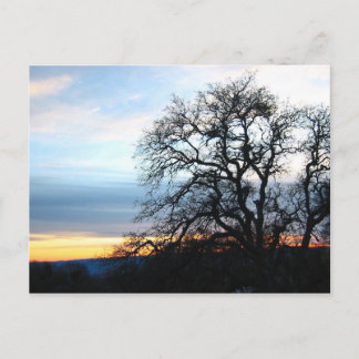 Cartão Postal Califórnia