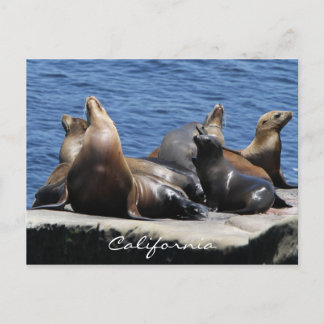 Cartão Postal Califórnia