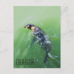 Cartão Postal Califórnia