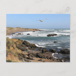 Cartão Postal Califórnia