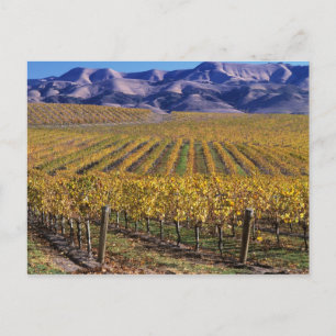 Cartão Postal Califórnia, Condado de San Luis Obispo, Edna Valle