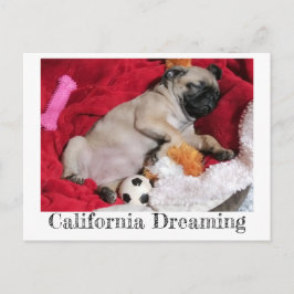 Cartão Postal California Dreaming Peanut the Pug