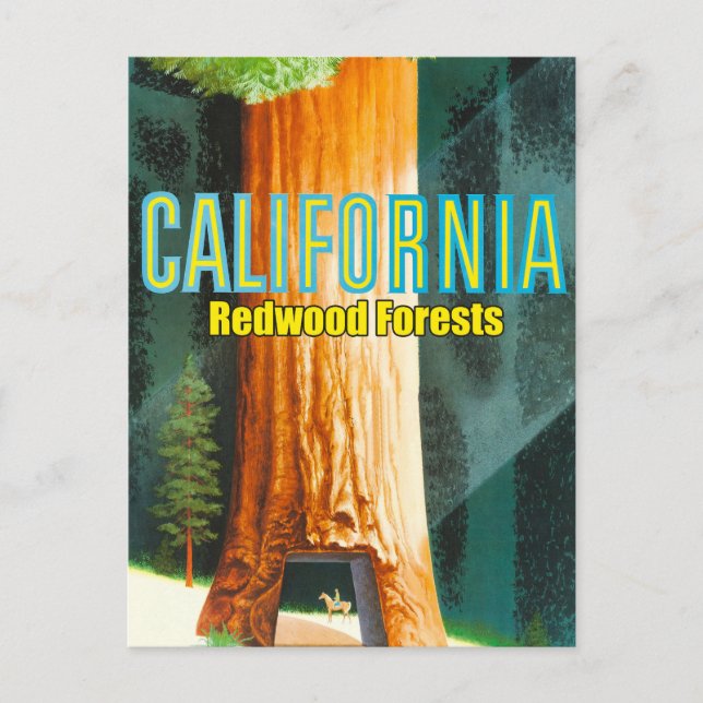 Cartão Postal Califórnia, Floresta de Sequoia, Grande Árvore, Se (Frente)