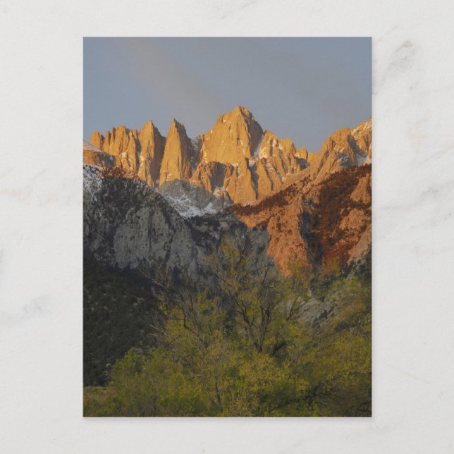 Cartão Postal Califórnia, Monte Whitney, Floresta Nacional Inyo  (Frente)