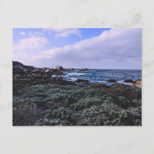 Cartão Postal California Pacific Coast Point Lobos Monterey
