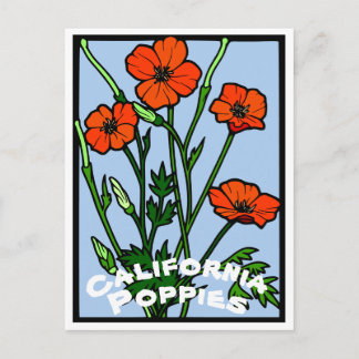 Cartão Postal California Poppies Vintage