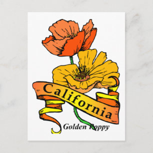 Cartão Postal California Poppy