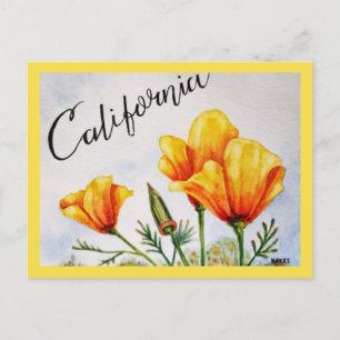 Cartão Postal California Poppy