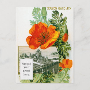 Cartão Postal California Poppy