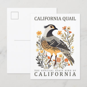Cartão Postal California Quail Bird, Viagem dos EUA