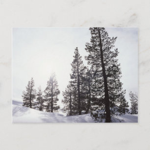 Cartão Postal Califórnia, Rancho Cuyamaca State Park