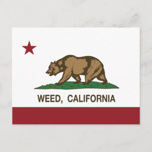 Cartão Postal California Republic Flag Weed