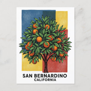Cartão Postal California San Bernardino Orange Tree