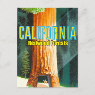 Cartão Postal Califórnia, Sequoia, Grande Árvore, Sequoia