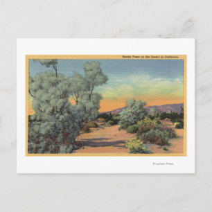 Cartão Postal CaliforniaView de Smoke Trees no Deserto