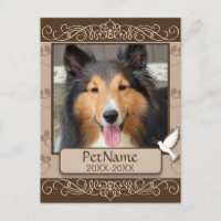 Caligrafia Castanha Roda Simpatia Personalizada de