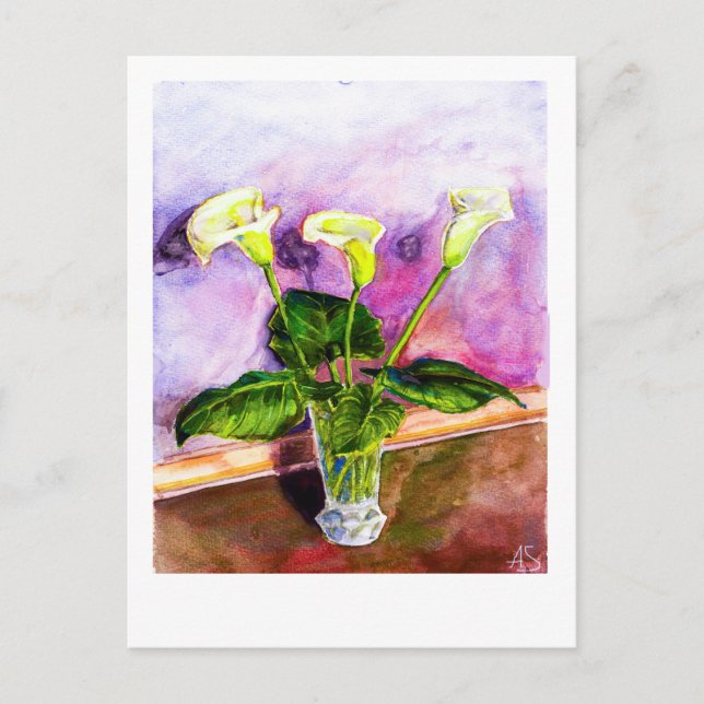 Cartão Postal Calla Lily (Frente)