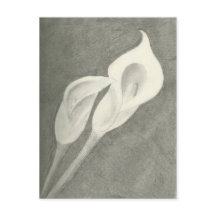 Calla Lily