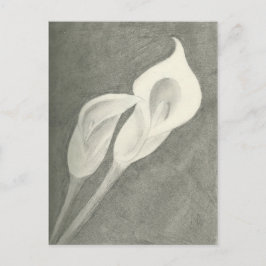 Cartão Postal Calla Lily