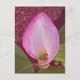 Cartão Postal Calla Lily