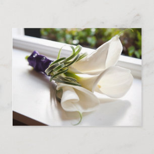 Cartão Postal Calla Lily Card