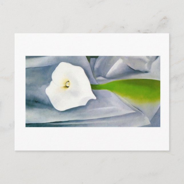 Cartão Postal Calla Lily na Cinza, Georgia O'Keeffe (Frente)