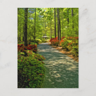 Cartão Postal Callaway Gazebo