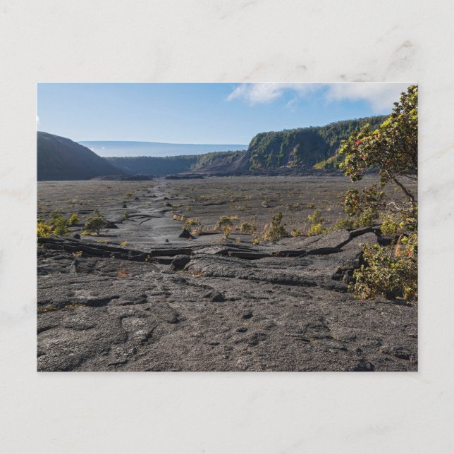 Cartão Postal cama seca de lava no alto da cratera de kilauea ik (Frente)