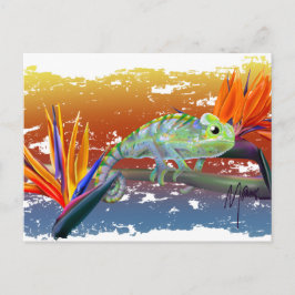 Cartão Postal Camaleão 