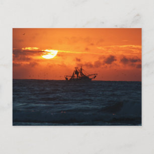 Cartão Postal Camarão