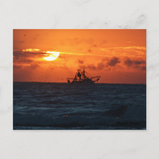 Cartão Postal Camarão