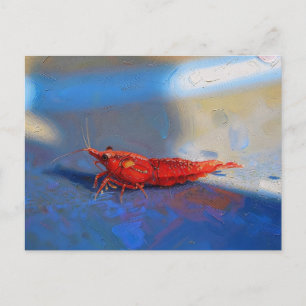Cartão Postal Camarão cereja vermelho