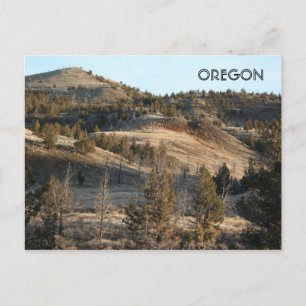 Cartão Postal Camas Fósseis do John Day