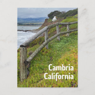 Cartão Postal Câmbria Califórnia