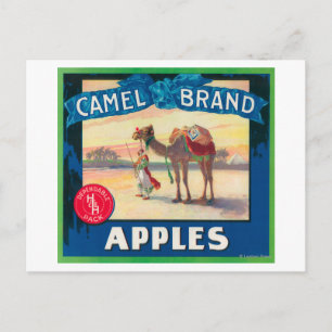 Cartão Postal Camel Apple Label - Estado de Washington