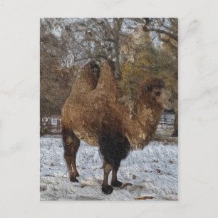 Cartão Postal Camel Art Glazed