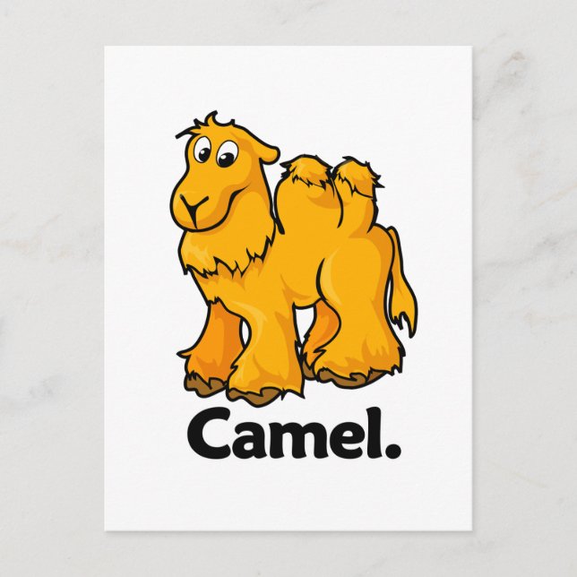 Cartão Postal Camel Camel. (Frente)