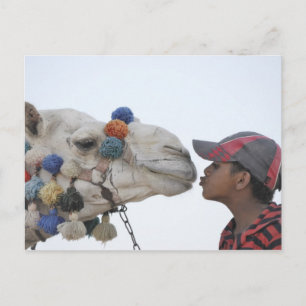 Cartão Postal Camel e rapaz