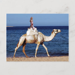 Cartão Postal Camel Riding on the Beach