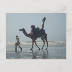 Cartão Postal Camel tribal costeiro.JPG
