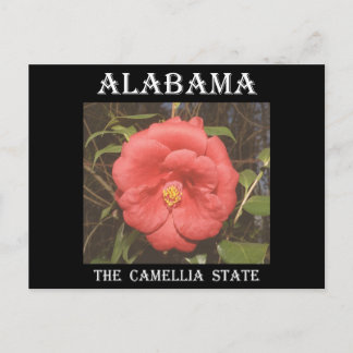 Cartão Postal Camélia do Alabama (Vermelho)